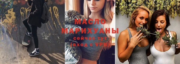 индика Няндома